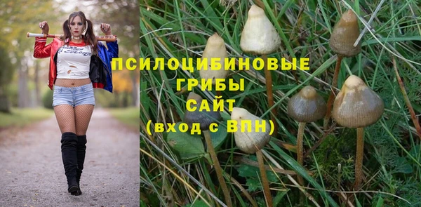 герыч Няндома