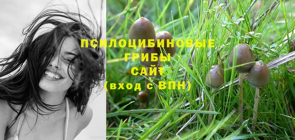 дмт Абдулино