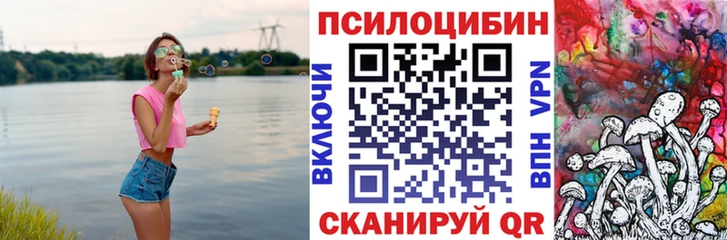 мега tor  наркота  Заринск  Псилоцибиновые грибы мухоморы 